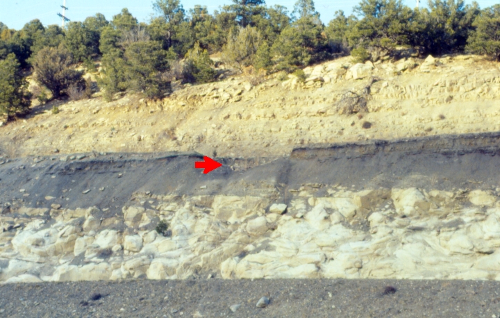 Sottile strato argilloso di confine Cretacico-Paleogene con anomalia dell'iridio